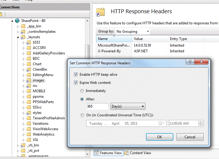 Set Common HTTP Response Headers dialog box