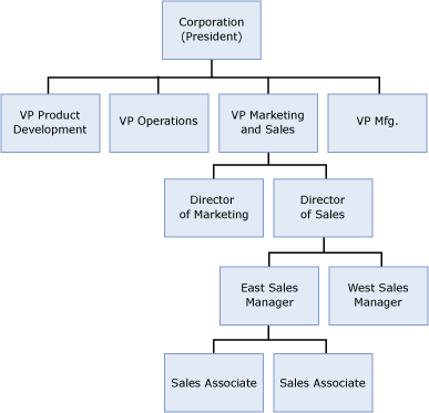 Sample corporate hierarchy