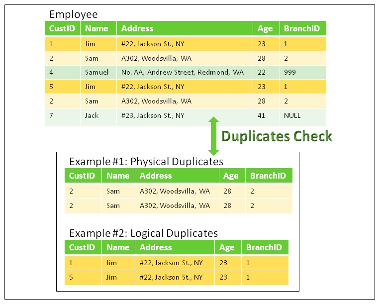 Duplicates Check