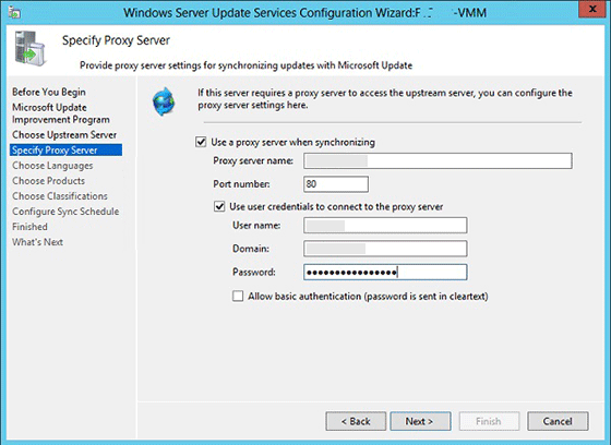 WSUS_Wiz5b WSUS Proxy Credentials