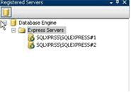 Figure 2: Registered Servers window