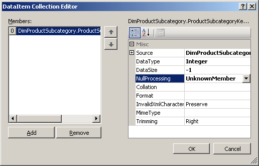 DataItem Collection Editor dialog box