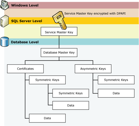 Key hierarchy: Windows, SQL Server, database tiers