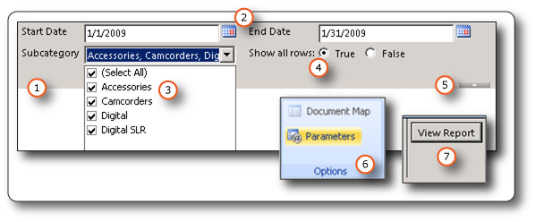 Parameters on report viewer toolbar