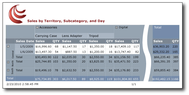 Report that displays data in a matrix