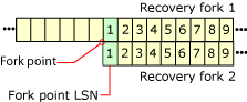 How LSNs are reused in different recovery forks
