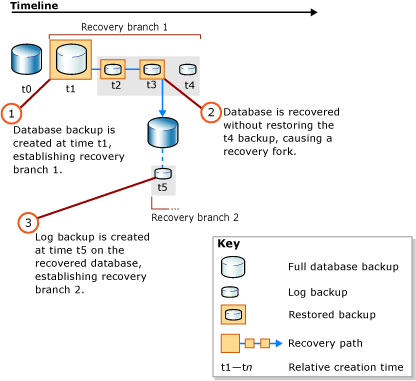 Creation of a second recovery branch