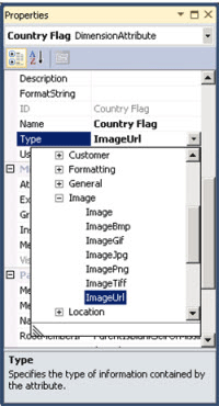 Dimension attribute properties