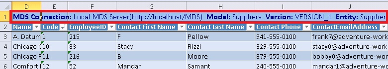 Excel - Showing MDS Connection Details