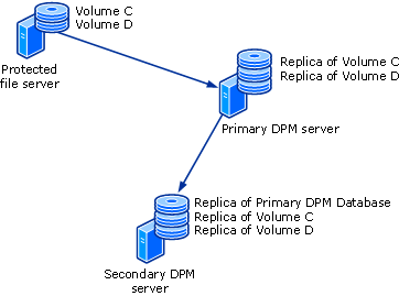 Protection by secondary DPM server