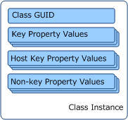 Conceptual view of class instance