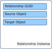 Conceptual view of relationship instance