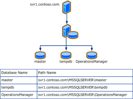 Sample Database Hosting Relationship