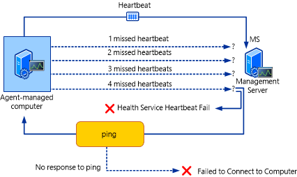 The heartbeat process illustrated