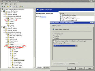 Figure 3 Configurable group policy settings