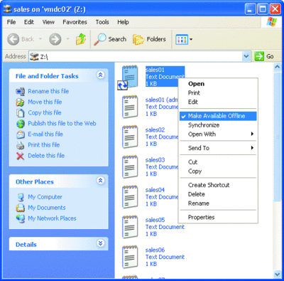 Figure 1 Making a file available offline