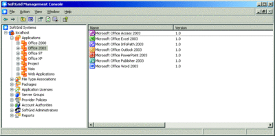 Figure 1 SoftGrid Management Console