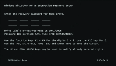 Figure 5 Entering a BitLocker password