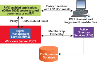 Figure 1 RMS and IRM Interaction