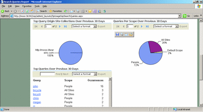Figure 6 Query Report in MOSS 2007