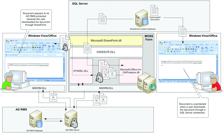 fig02.gif