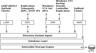 Figure A.1. Active Directory service layers and interface agents