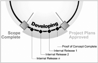 Figure 2.1. The Developing Phase in the MSF Process Model