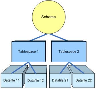 Figure 6.1 Oracle schema illustrated