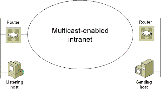 Figure A-1 An IP multicast-enabled intranet