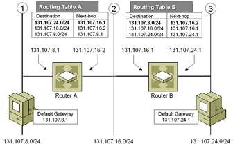 Figure 5-5  Example of dynamic IPv4 routing entries