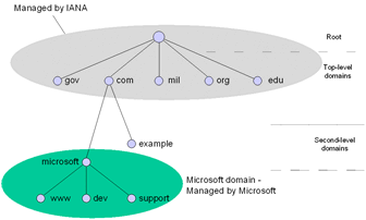 Figure 8-1  The DNS namespace