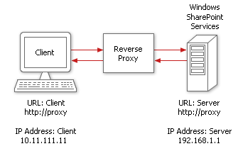HTTP response through the reverse proxy