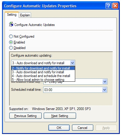 Figure 3: Overall Automatic Update Configuration options