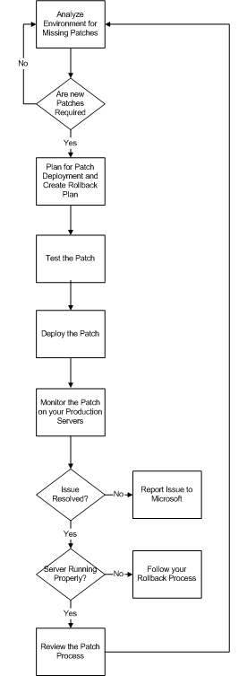 Figure 8.1  Patch management process