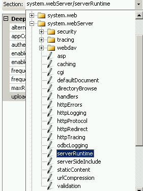 Screenshot for selecting the serverRuntime node.