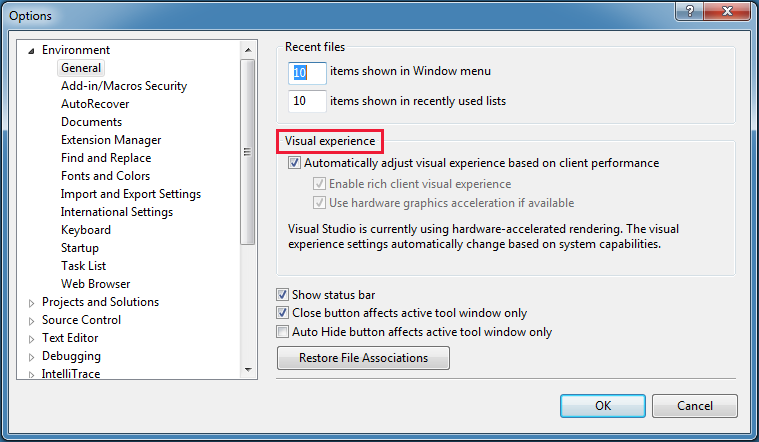 Screenshot shows the Visual Studio visual experience options.