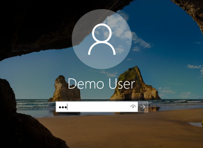 Screenshot of the Windows login window for Demo User.