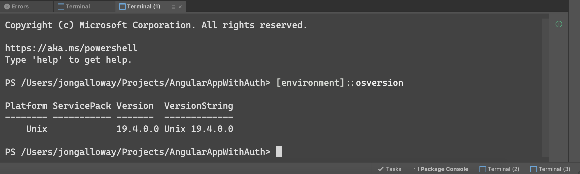 Multiple terminal instances in Visual Studio for Mac