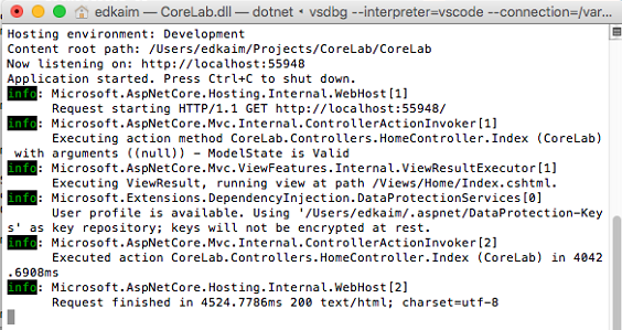 Screenshot showing the console window for the self-hosted server application.