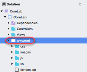 Screenshot of solution with the w w w root folder selected.