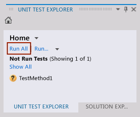 Unit Test Explorer - run unit test