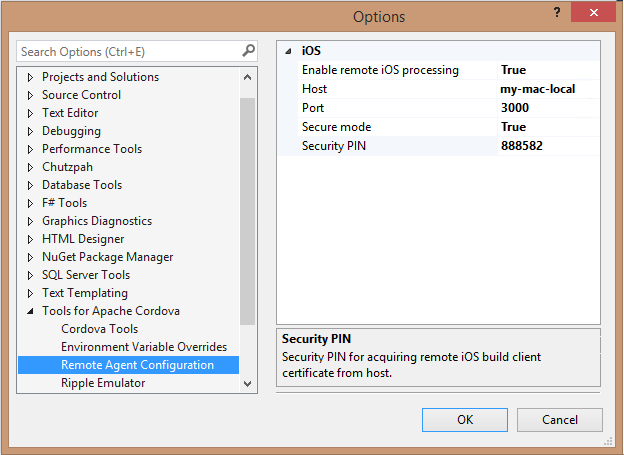 Configuring the remote agent in Visual Studio