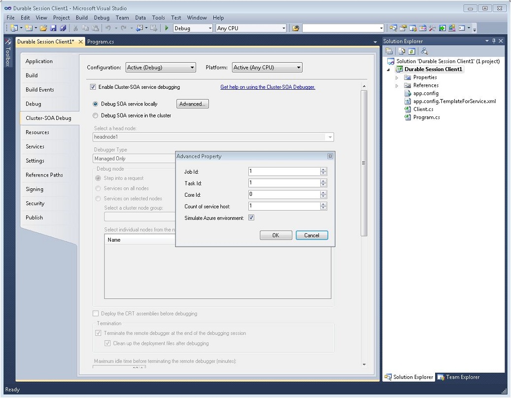 Configure Cluster-SOA Debugger Visual Studio 2010