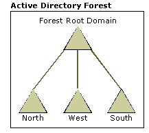 Figure 10: Forest with a dedicated forest root and three child domains