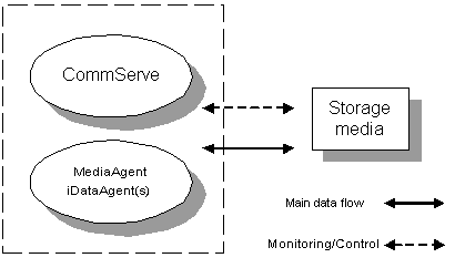 Figure 1.3: iDataAgent and MediaAgent on a large system