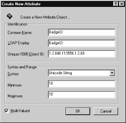 Figure 11-5: Attributes can be added with the Active Directory Schema snap-in.