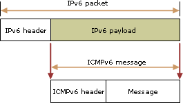 ICMPv6 encapsulation in an IPv6 packet