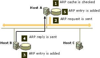 How ARP resolves media access control addresses