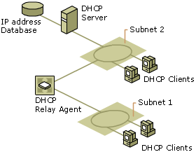 Subnets Configured to Use a DHCP Relay Agent