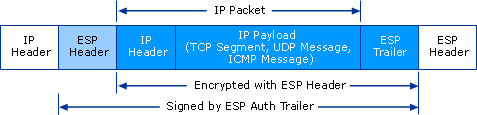 ESP Tunnel Mode Packet Structure